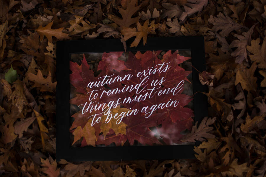 Custom calligraphy quote on a floating frame with fall/ autumn foliage pressed dry leaves. Photo is taken at Mount Pleasant Cemetery, located in Leaside Toronto. Custom calligraphy is completed by A Grateful Note.