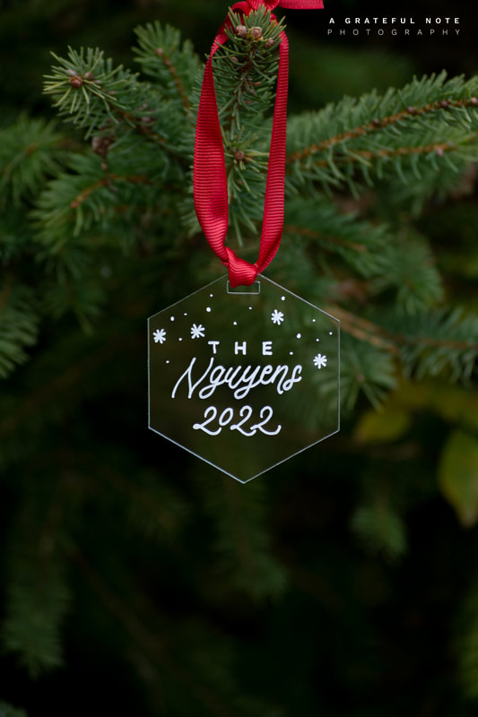 Clear Modern Hexagon Acrylic Ornament with custom family name, red ribbon, stars embellishments.